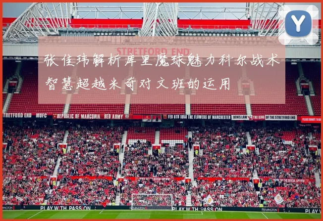 张佳玮解析库里魔球魅力科尔战术智慧超越米奇对文班的运用